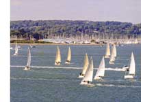 photo of racing yachts from Tower